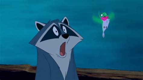 Plush Meeko in Pocahontas | Spotern