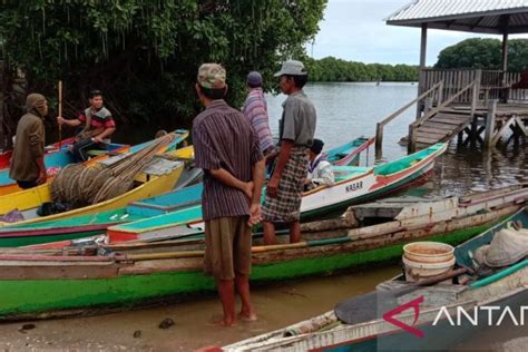 Bupati Maros Minta Telusuri Kematian Ikan Di Sungai Marana ANTARA News