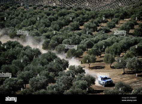 Land Cruiser 300 Hi Res Stock Photography And Images Alamy