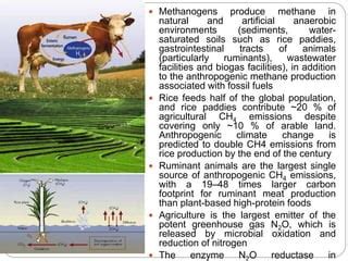 Role of microorganisms in climate change | PPT