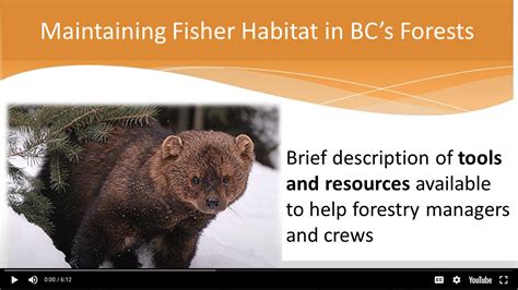 Training Resources – BC Fisher Habitat