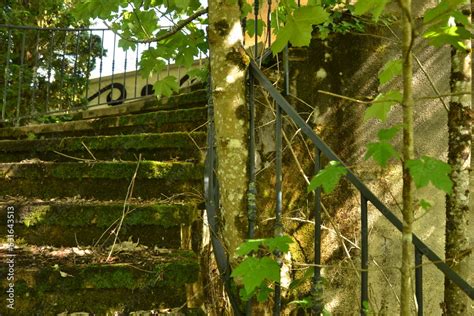 Parc D Attractions Abandonn Parc De Loisirs Pont Sur L Ognon En