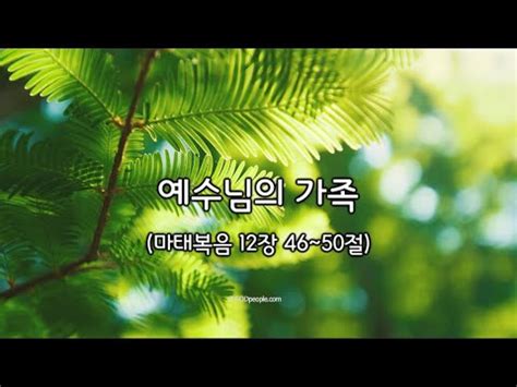 수요 예수님의 가족 마태복음 12장 46 50절 22 09 14 YouTube