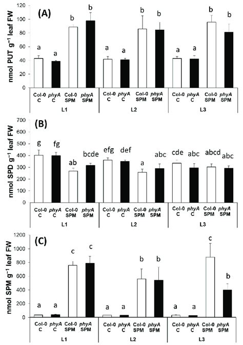 Polyamine Contents Namely Putrescine Put A Spermidine Spd B