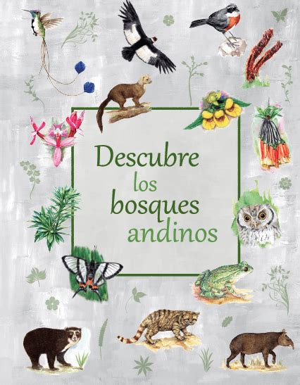 Noticias Bosques Andinos Parte