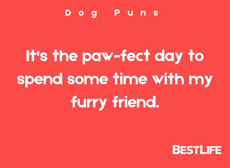 110 Dog Puns To Make You Howl With Laughter — Best Life