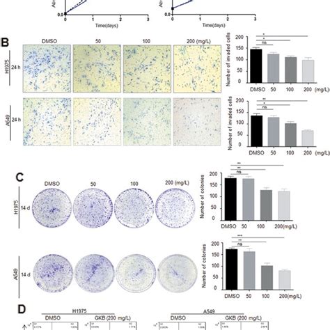 Ginkgolide B Gkb Inhibited The Proliferation Invasion And Colony