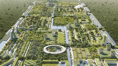 Smart Forest City कछ ऐस हग य शहर सबकछ हग अलटरमडरन