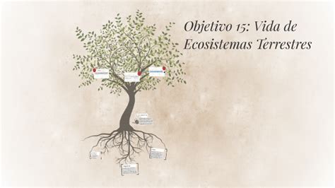 Objetivo 15 Vida De Ecosistemas Terrestres By Mariandré López Gómez On Prezi