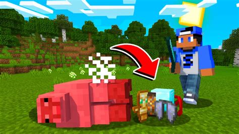 OS MOBS DROPAM ITENS ALEATÓRIOS NO MINECRAFT YouTube