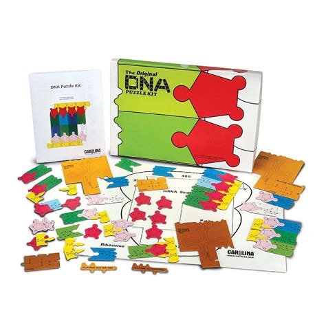 Carolina Biological Supply Company Original Dna Puzzle Kit Oriental