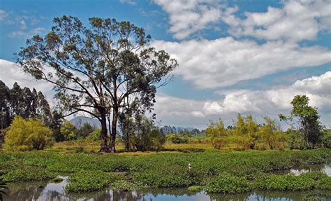 20 Paisajes de Colombia ® Que te Moverán del Asiento