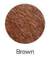 Apple Head Chihuahua: Your Complete Guide