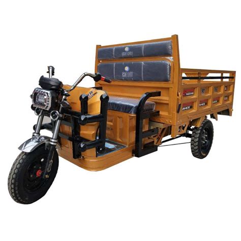 Chinese Manufacture Supplying Electric Tricycle Auto New Product