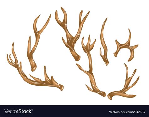 Antlers Royalty Free Vector Image Vectorstock