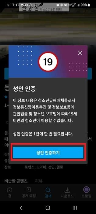 쿠팡플레이 성인인증 방법 Pc 모바일 가능 윤과장의 소소한 일상 이야기