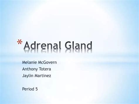 Ppt Adrenal Gland Powerpoint Presentation Free Download Id2341096