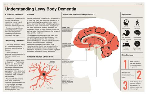 Dementia With Lewy Bodies Causes And Risk Factors Ask The Nurse Expert