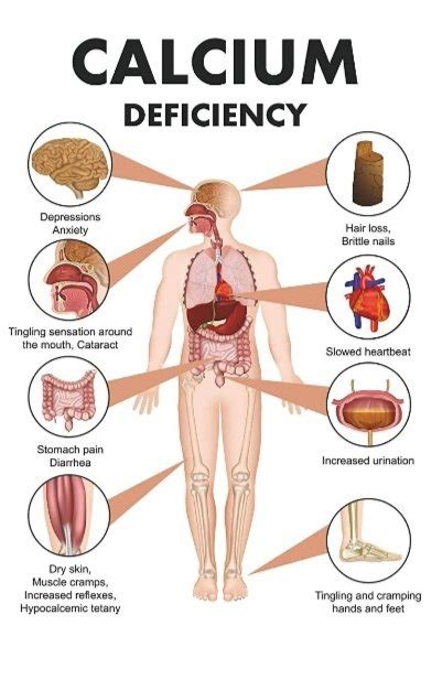 What Should Be Eaten For Calcium Deficiency Quora