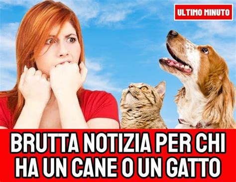 Brutta Notizia Per Chi Ha Un Cane O Un Gatto Arriva La Stangata Ecco