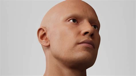 ArtStation - Male Head 4 3D model | Resources