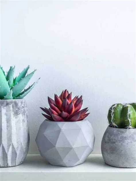 The Best Concrete Molds Buying Tips Story Artsy Pretty Plants