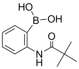 146140 95 62 ピバロイルアミノ フェニルボロン酸2 Pivaloylamino phenylboronic Acid