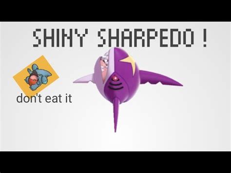 Shiny Sharpedo R I P Original Brick Bronze Youtube