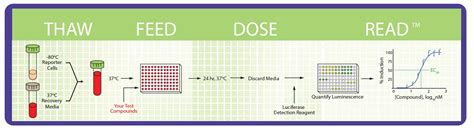 Human AhR Bioassay For Environmental Sample Monitoring