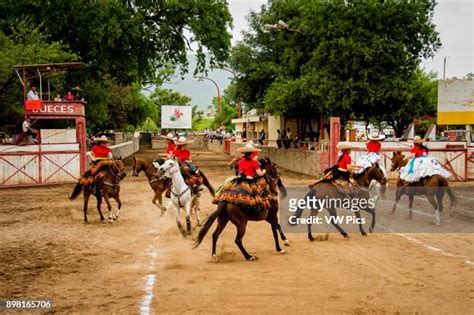 323 Sidesaddle Riding Stock Photos, High-Res Pictures, and Images ...