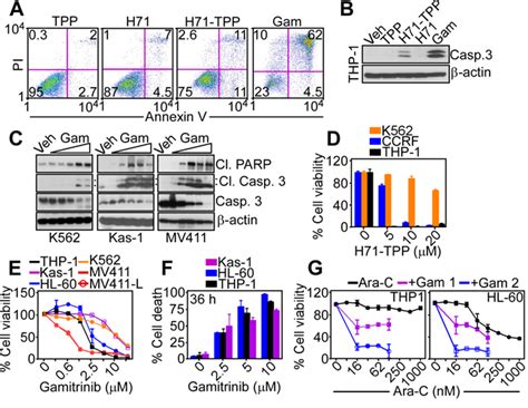 A Mitochondrial Targeted Purine Based Hsp90 Antagonist For Leukemia