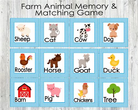 Farm Animal Matching