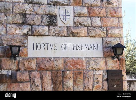 Hortvs gethsemani hi-res stock photography and images - Alamy