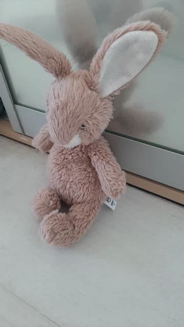 JELLYCAT BASHFUL MEDIUM Bunny Hot Pink 24 64 PicClick UK