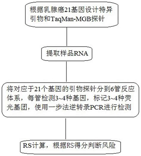 一种乳腺癌21基因检测试剂盒及其检测方法与流程