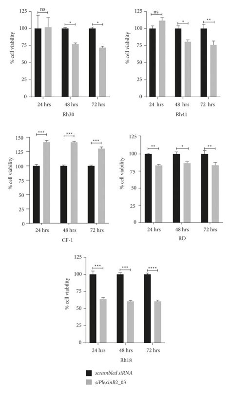 Effect Of Plexin B2 Sirna Knockdown On Cell Proliferation Cell Growth