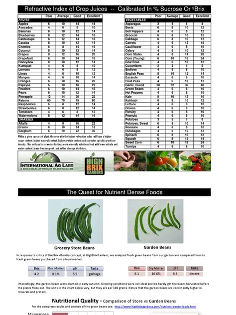 Brix Chart PDF | PDF | Bean | Vegan Cuisine