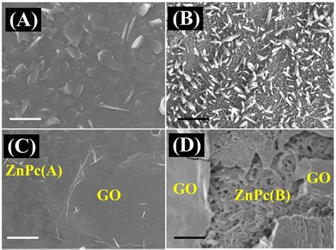 FESEM Images Of A ZnPc A B ZnPc B C ZnPc A GO And D