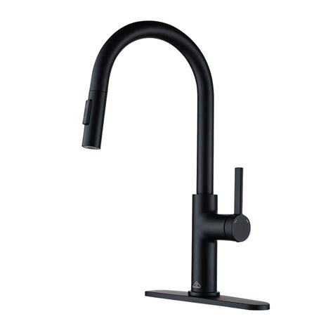 Casainc Single Handle Pull Down Sprayer Kitchen Faucet With Dual Function Pull Out Sprayer Head