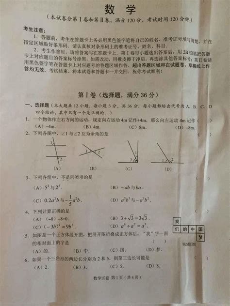 广西崇左市2015年中考数学试题扫描版试题word版解析word文档在线阅读与下载免费文档