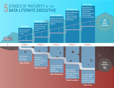 The Data Leadership Maturity Model Data Literacy