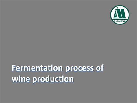 Fermentation Process Of Wine Production Labmonk