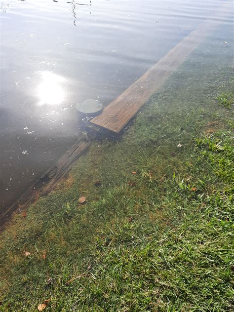 Coastal flooding, you say... : r/maryland