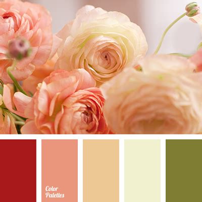 colors of ranunculus | Color Palette Ideas