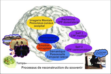 Cerebral Network Involved In Autobiographical Memory CPF Pre Frontal