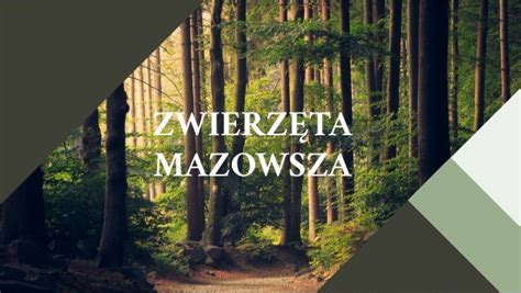 Zwierz Ta Mazowsza