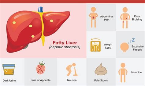 Why Does Mct Oil Cause Diarrhea