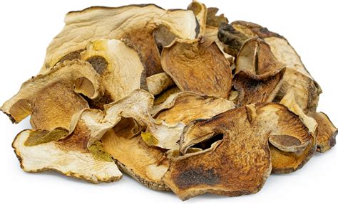 Dried Porcini Mushrooms Information Recipes And Facts