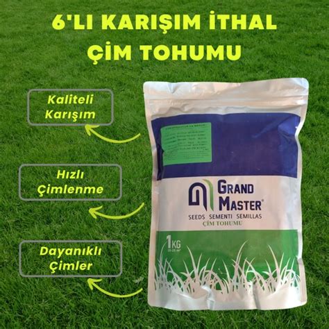 Grand Master Seed Özel 6 lı Karışım 1 kg Ithal Premium Çim Fiyatı