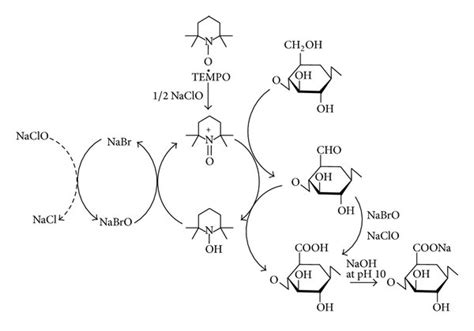 Regioselective Oxidation Of C Primary Hydroxyls Of Cellulose To C